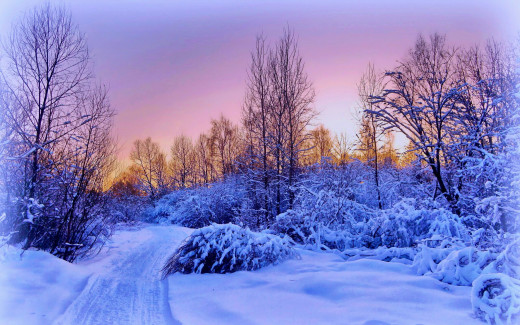 789077 (a): :2560x1600